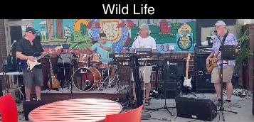 photo of Chris S at Pelican Post